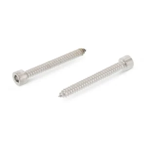 Саморез с цилиндрической головкой и внутренним шестигранником, art. 9051, нержавеющая сталь: А2, А4.